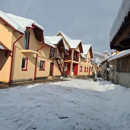 Vila Vladut Zărneşti Exteriör bild