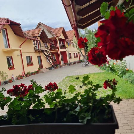 Vila Vladut Zărneşti Exteriör bild