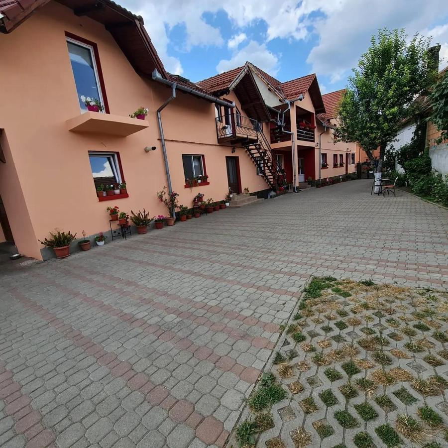 Vila Vladut Zărneşti Exteriör bild