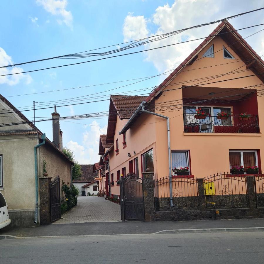 Vila Vladut Zărneşti Exteriör bild