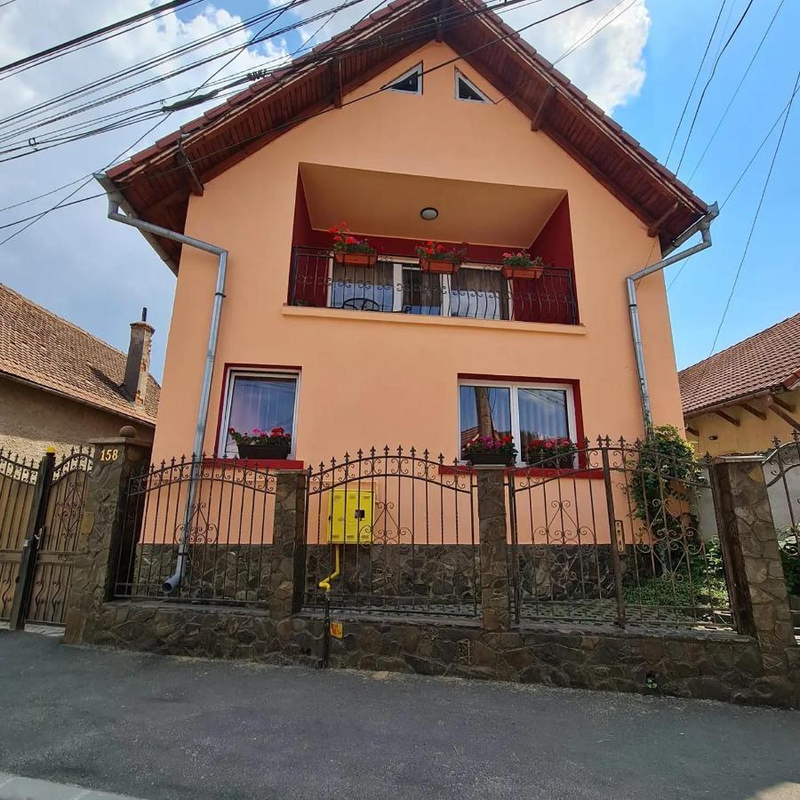 Vila Vladut Zărneşti Exteriör bild