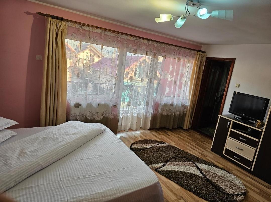 Vila Vladut Zărneşti Exteriör bild