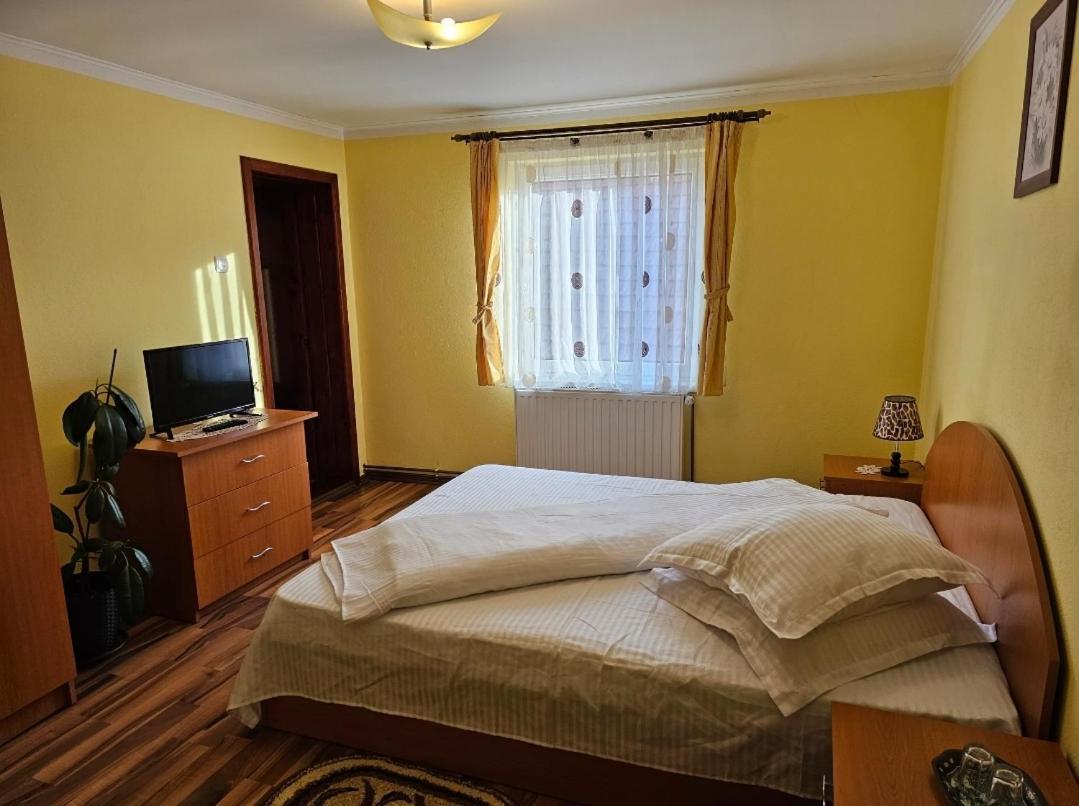 Vila Vladut Zărneşti Exteriör bild